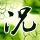 鉴证实录2